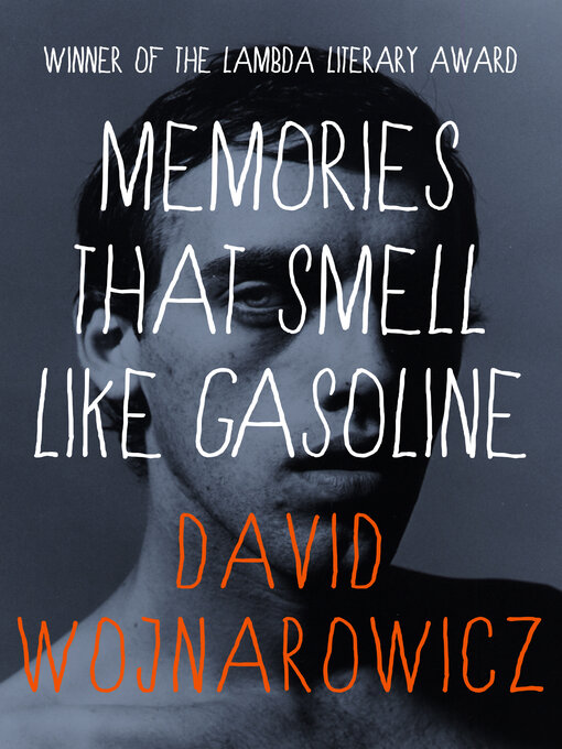 Title details for Memories That Smell Like Gasoline by David Wojnarowicz - Available
